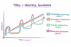 Chart showing the types of MS. Disability over time