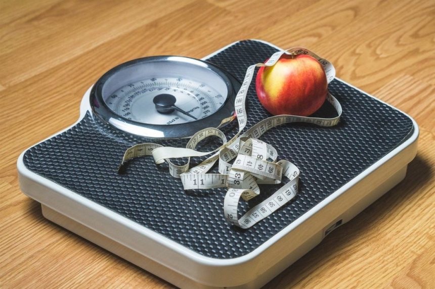 Weight Loss Programme