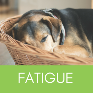 New Online Fatigue Management Course
