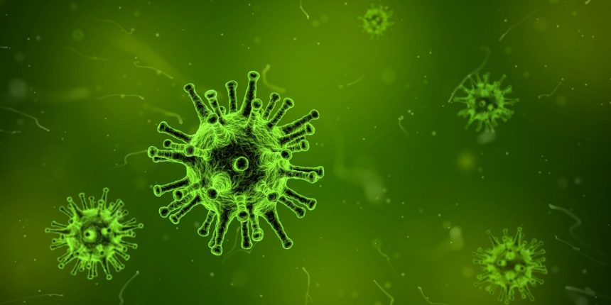 Coronavirus and Infection Prevention