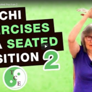 Seated Tai Chi Exercises 2