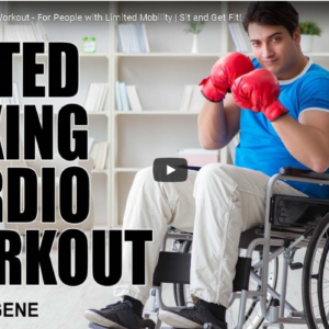 Seated Boxing Cardio Workout