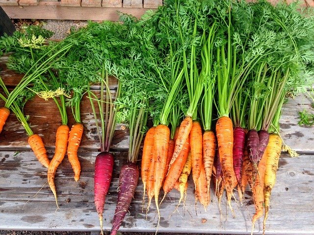 Ingredient of the Week: Carrot