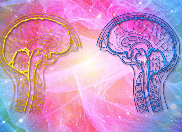 Cognition Workshop