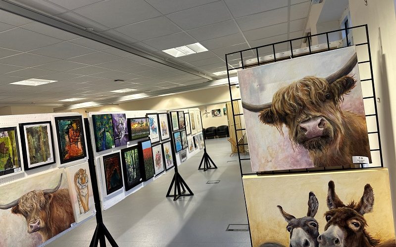 View of an art gallery with two foreground paintings of a highland cow and a pair of donkeys