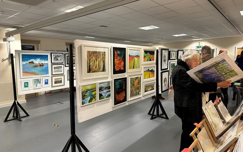 View of an art exhibition with a lady looking intently at a painting.